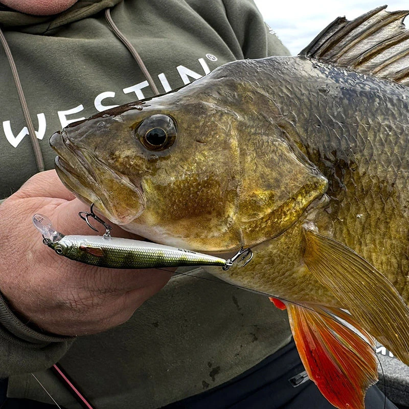Westin Jerkbite SR Jerkbaits 7.5cm/5g